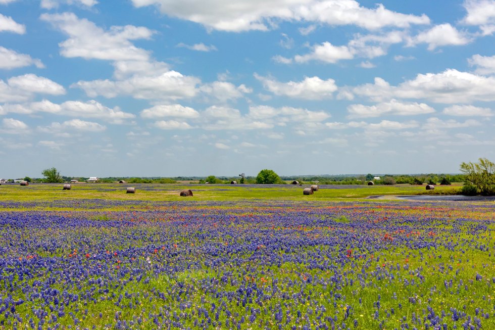 Milestone Carbon announces land agreement for carbon hub development in the Permian Basin Milestone Carbon announces land agreement for carbon hub development in the Permian Basin